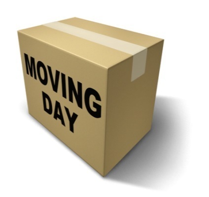 move office.jpg
